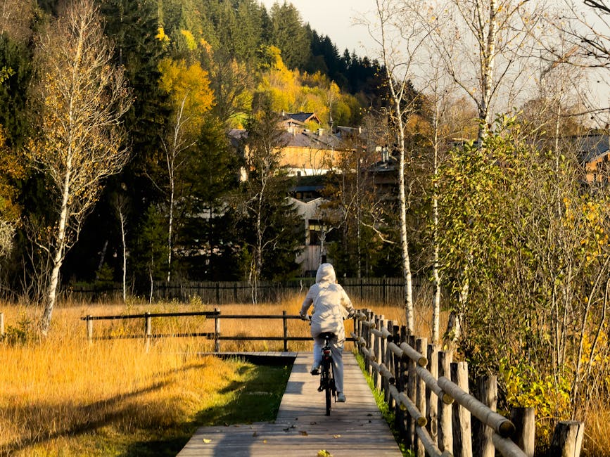 旅遊保險：貼心守護您的每段旅程